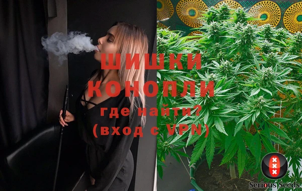 каннабис Верея