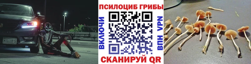 купить наркоту  Карабаш  Галлюциногенные грибы GOLDEN TEACHER 